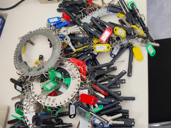 皇迪連續(xù)五年守護(hù)深圳電信員工“回家路”